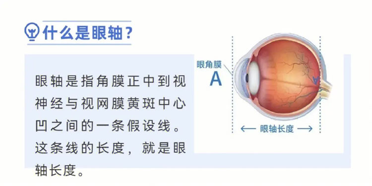 细节3.jpg